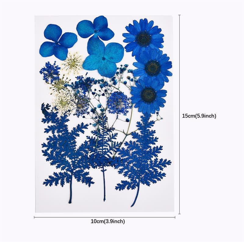 Dried flowers ورد مضغوط 