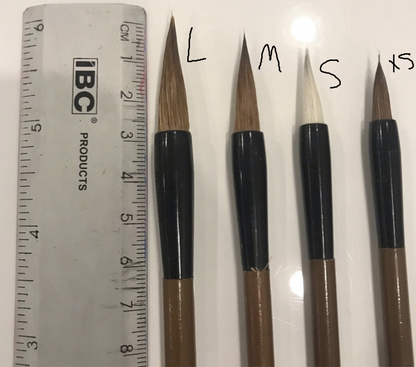 Painting brushes فرش رسم