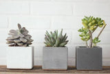 Cement اسمنت