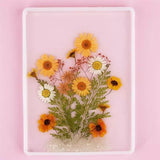 ⁨Dried flowers ورد مضغوط ⁩⁩⁩