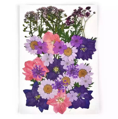 ⁨⁨Dried flowers ورد مضغوط ⁩⁩⁩⁩