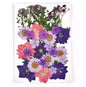 ⁨⁨Dried flowers ورد مضغوط ⁩⁩⁩⁩